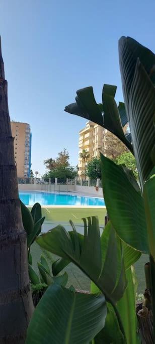 Apartament Elegante Alojamiento Con Piscina A 200 M Del Mar. Benalmádena Zewnętrze zdjęcie